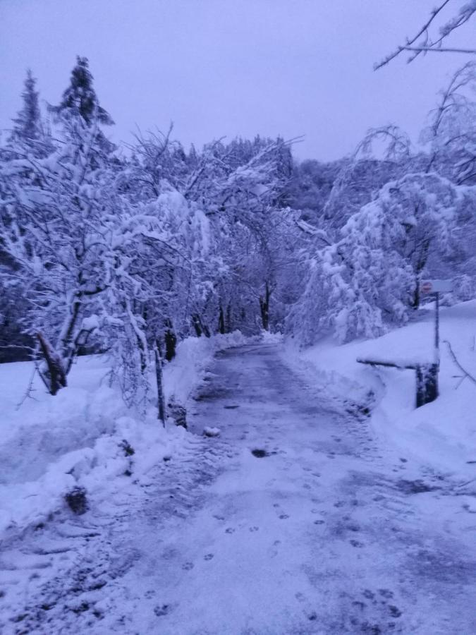 Appartamento Lupus In Fabula Peveragno Esterno foto